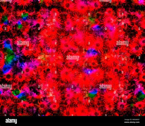 GIFT WRAP CONCEPT: Floral Design Stock Photo - Alamy