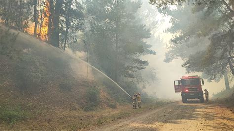 Evac An Tres Sectores De Santa Juana Por Avance De Incendio Forestal