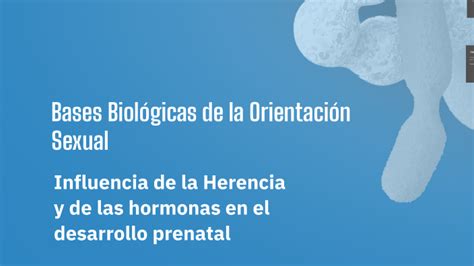 Base Biol Gica De La Orientaci N Sexual By Carlos De Capua Velasco On Prezi