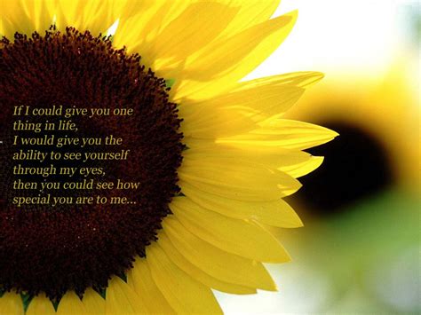 Quotes About Love And Sunflowers. QuotesGram