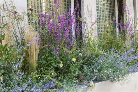 Marianne Majerus Garden Images
