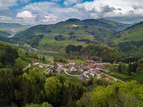 Kutschfahrten In Fr Hnd Schwarzwald Tourismus Gmbh