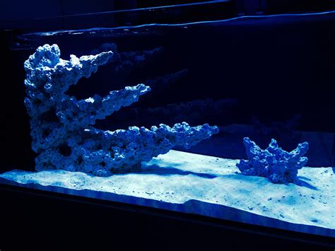 Red Sea Peninsula 500 Reef Tank Aquascapes Custom Built By R R