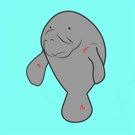 Manatee Hurt GIFs - Get the best GIF on GIPHY