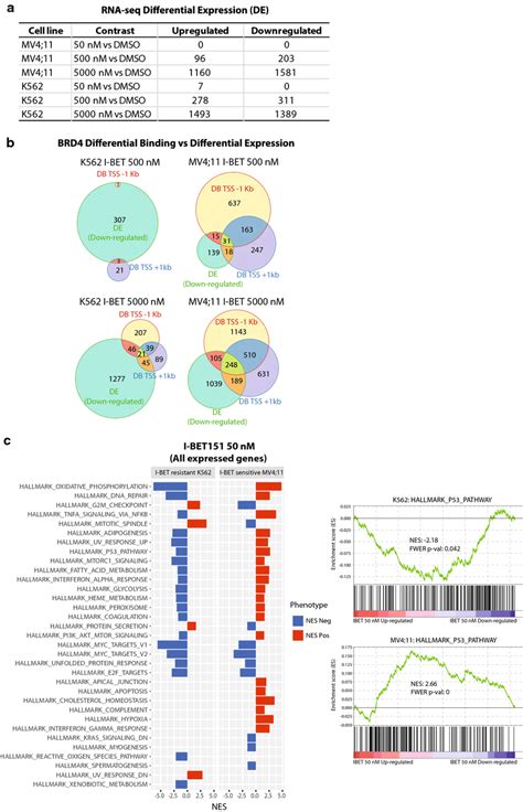 Gene Set Enrichment Analysis Gsea Defines Hallmarks Of I Bet