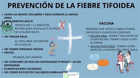 Fiebre Tifoidea O Salmonella Typhy LABOTIKAENTUPANTALLA