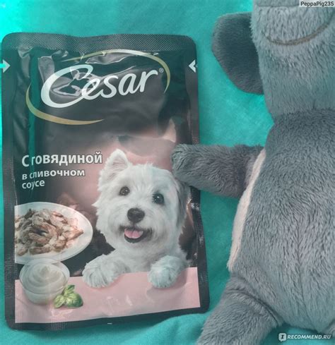 Корм для собак Cesar С говядиной в сливочном соусе - «Любимый корм моей ...