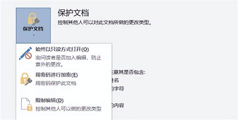Word文件加密怎么操作word加密以后怎么设置 正数办公