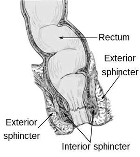 Bowel Incontinence Medizzy