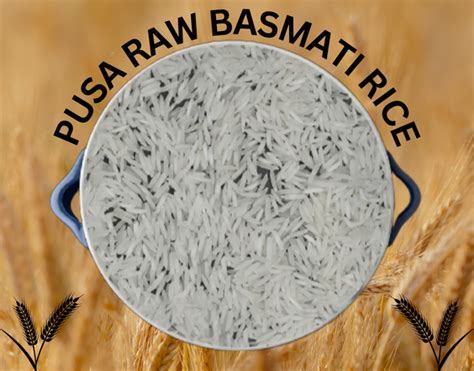 Pusa Basmati Rice Ps Exports