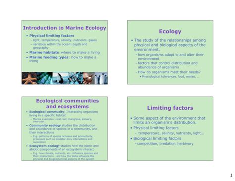 Introduction To Marine Ecology