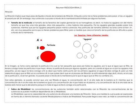 Resumen Fisiolog A Renal Jessy Lorena Fernandez Udocz