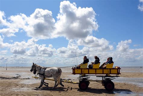 Wattenmeer Ist Seit 15 Jahren UNESCO Weltnaturerbe N Tv De