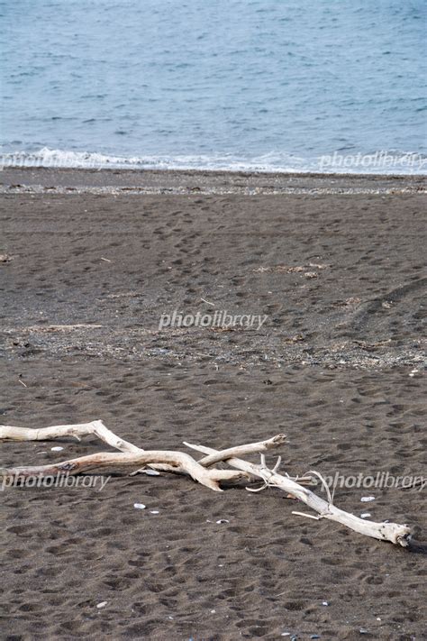 波打ち際と砂浜の流木 オホーツク海 写真素材 6726369 フォトライブラリー Photolibrary