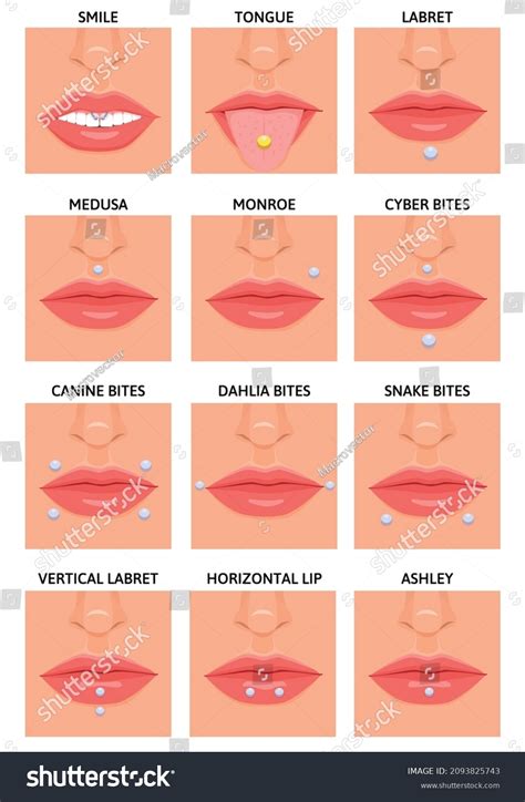 Face Piercings Types