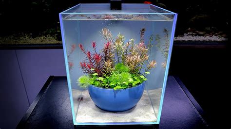 Aquascape Tutorial 2 6 Gal IKEBANA Nano AQUARIUM How To Step By Step