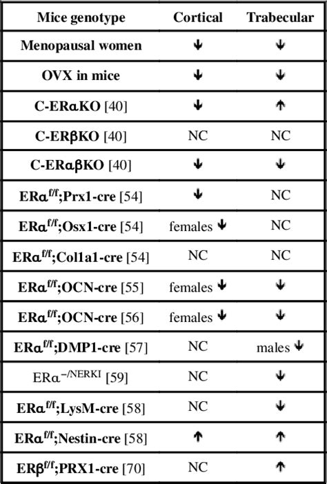 table   estrogen receptors alpha  beta  bone semantic scholar