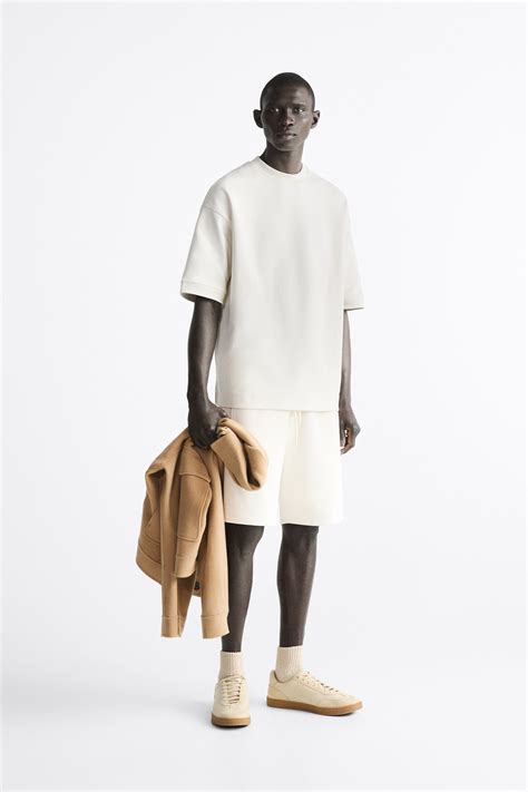 Мужские шорты ZARA Premium Fit Bermuda (267182067-251) — купить с ...