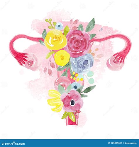 Utero Della Donna Con Lillustrazione Dei Fiori Illustrazione Di Stock