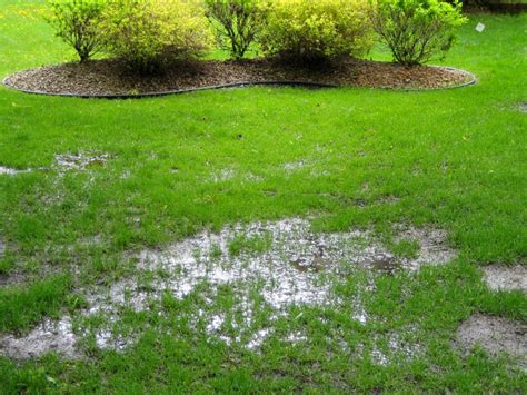 6 Backyard Flooding Solutions for Landscaping a Storm-Proof Yard ...