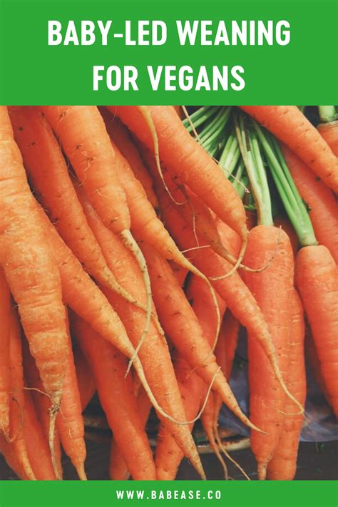 Weaning Stages Explained Artofit