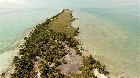 Leonardo Dicaprio Builds Eco Resort In Belize Architect Magazine