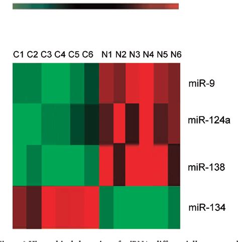 Figure From Altered Microrna Expression Profiles In A Rat Model Of