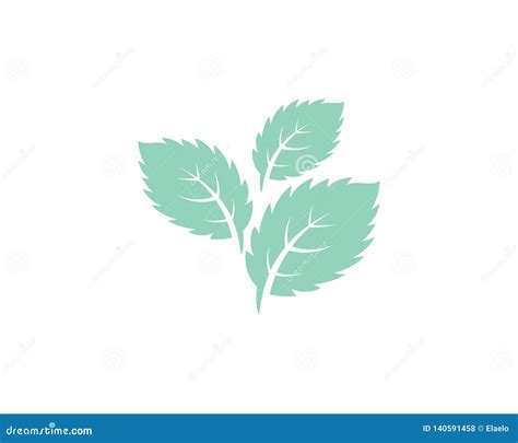 Icono Plano Del Vector De Las Hojas De Menta Ilustraci N Del Vector