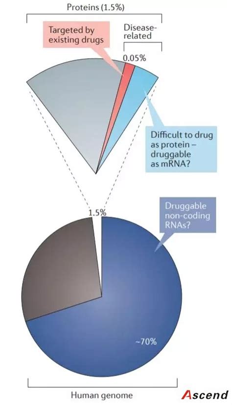 Nature深度综述：研发rna靶向新药的几大原则核酸提取磁珠 非洲猪瘟核酸提取试剂盒 生物磁力架