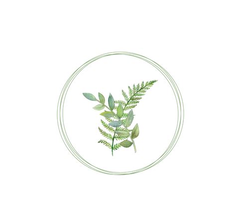 Fern Vintage Van