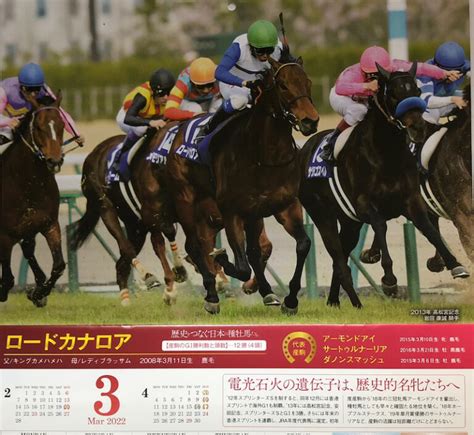 高松宮記念は今年もロードカナロア産駒が走る！好調な騎手が跨るあの馬に要注意！！