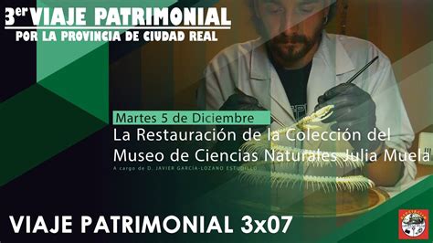 Descubre El Museo De Ciencias Naturales Julia Muela En El Ies Maestro