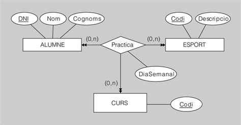 M Bases De Dades Uf Nf Resum Model Relacional Wikiserver