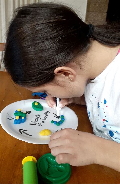 pin  creative curriculum  preschool creative curriculum