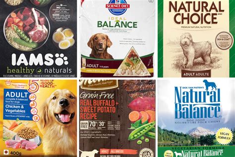 Unleash The Best Top 10 Dog Food Companies Revealed With Reviews And