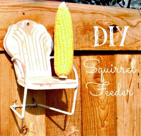 13 Simple DIY Squirrel Feeder Ideas You Will Enjoy Making