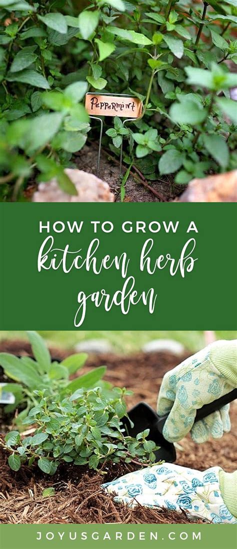 How To Grow A Kitchen Herb Garden Joy Us Garden Herb Garden In