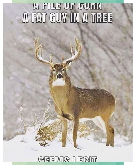 Funny Deer Jokes