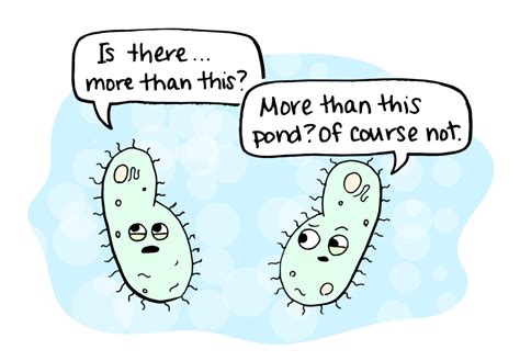 Beatrice The Biologist Cultivating Curiosity And Appreciation For