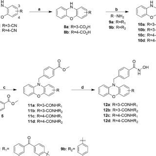 Scheme Reagents And Conditions A N Hcl Aq Acoh D B