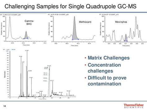 Triple Quadrupole Gas Chromatography Mass Spectrometry Mass Spectrome