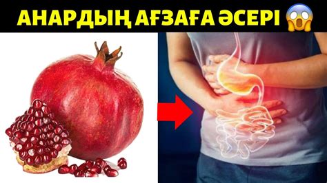 АНАРДЫҢ СІЗ БІЛМЕЙТІН ЗИЯНЫ. Анардың пайдасы мен зияны #анар #гранаты # ...