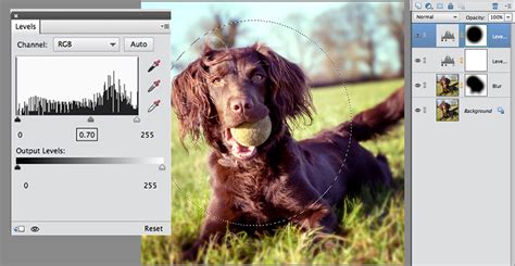 How to create Instagram-style filters | Digital Camera World