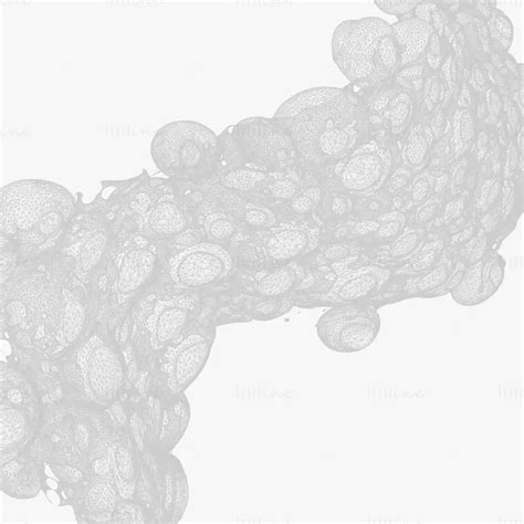 Fat Cell Anatomy 3d Model