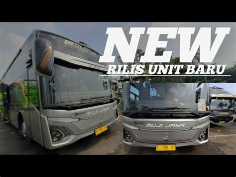 Pesaing Bis Haryanto MURIA RAYA Gak Kaleng Kaleng Rilis Unit Baru MUJI