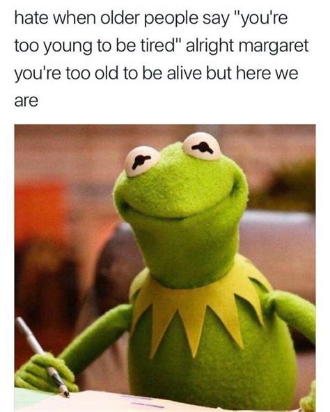 Pin By Elizabeth Westfall On Aging Gracefully Kermit Meme Funny