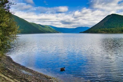 Lake Rotoroa Nelson Lakes National Park New Zealand Stock Image