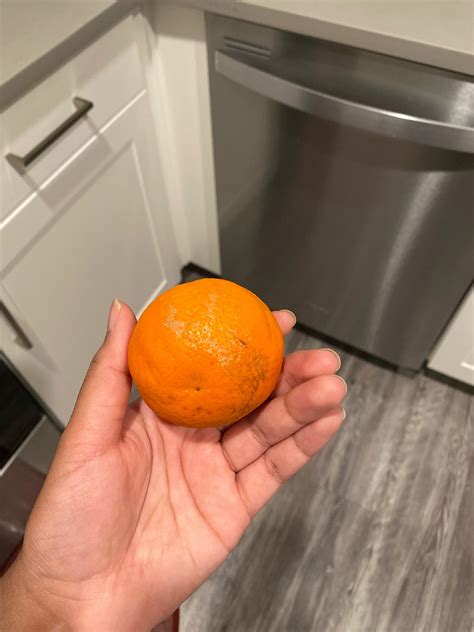 Has This Orange Gone Bad Ive Had A Ton Of Oranges In My Fridge That I