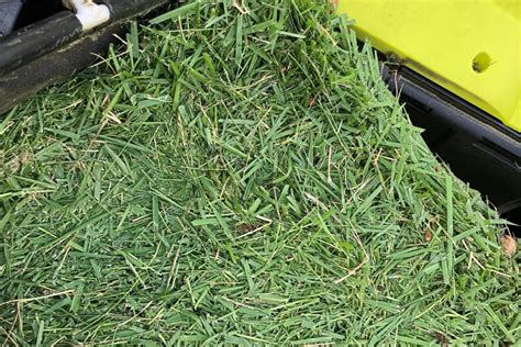 8 Reasons Your Lawn Mower Is Not Bagging (+Quick Fix)