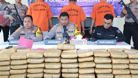 Polisi Berhasil Gagalkan Pengiriman Kg Ganja Dari Sumut Ke Sumbar